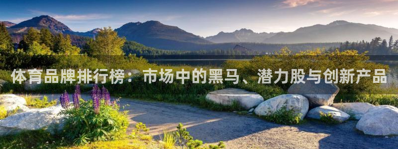 哈哈体育下载：体育品牌排行榜：市场中的黑马、潜力股与创新产品