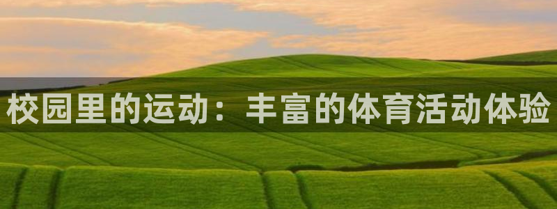 哈哈体育十年：校园里的运动：丰富的体育活动体验