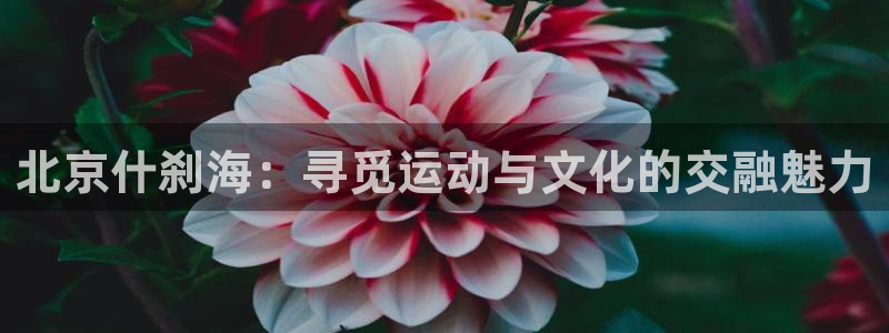 哈哈体育十年：北京什刹海：寻觅运动与文化的交融魅力