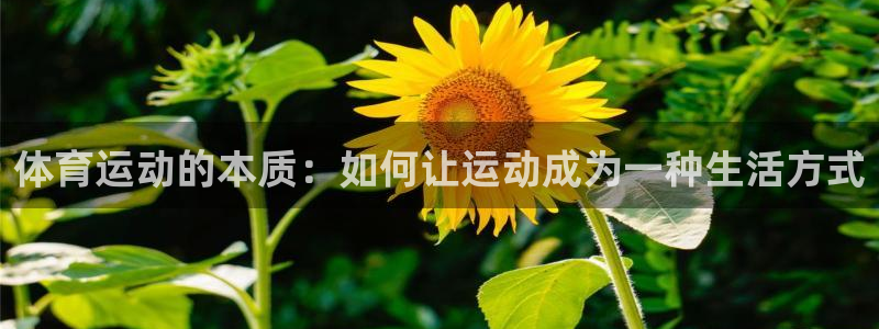 哈哈体育十年：体育运动的本质：如何让运动成为一种生活方式