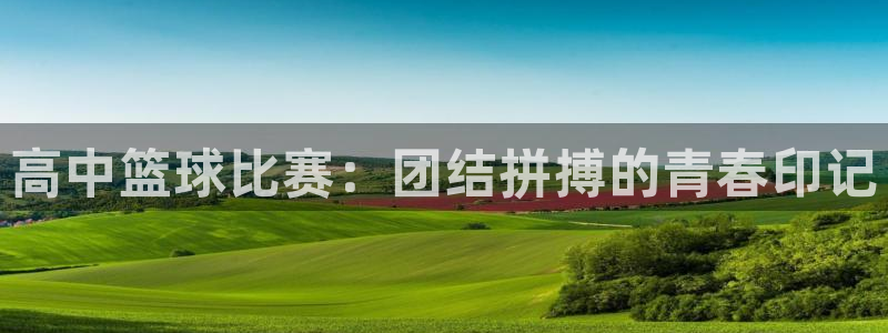哈哈体育：高中篮球比赛：团结拼搏的青春印记