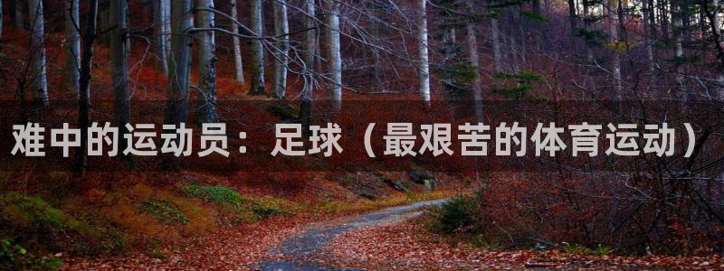 哈哈体育十年：难中的运动员：足球（最艰苦的体育运动）