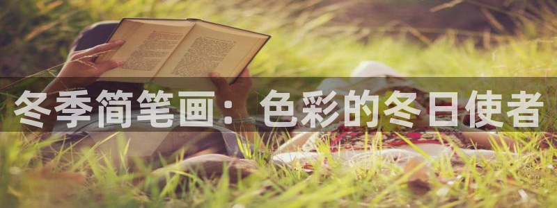 哈哈体育：冬季简笔画：色彩的冬日使者