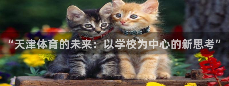 哈哈体育下载：“天津体育的未来：以学校为中心的新思考”