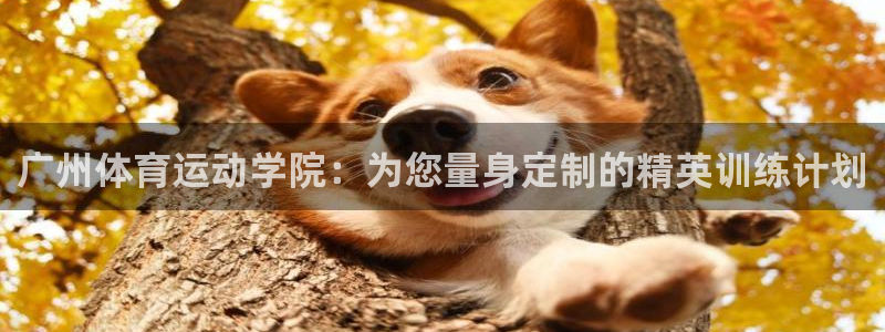 哈哈体育十年：广州体育运动学院：为您量身定制的精英训练计划