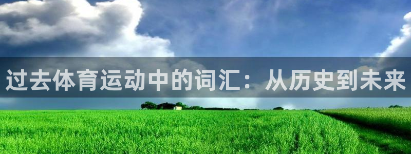 哈哈体育十年：过去体育运动中的词汇：从历史到未来