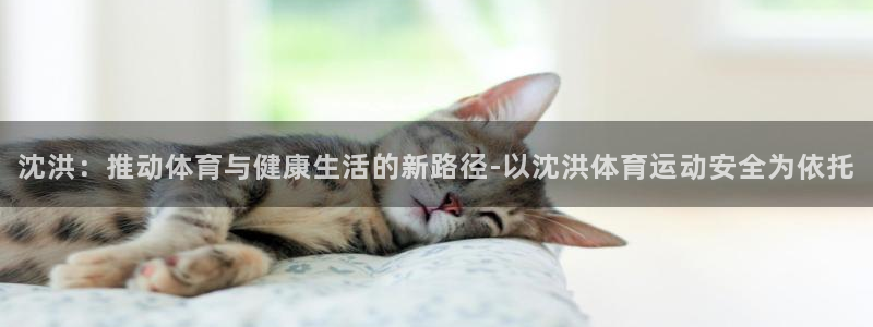 哈哈体育十年：沈洪：推动体育与健康生活的新路径-以沈洪体育运动安全为依托