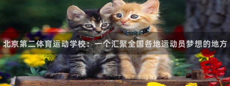 哈哈体育十年：北京第二体育运动学校：一个汇聚全国各地运动员梦想的地方